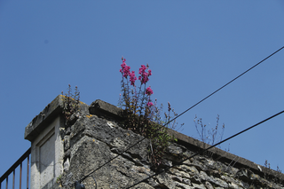 Exhibition of the French department artworks and book launch at the Factory in Gonesse