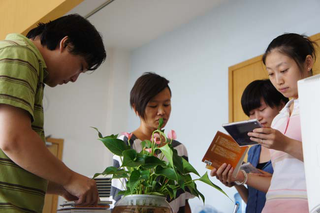 Lulu Li 李心路, Lulu Li distributing free music cd and films dvd to the factory staff