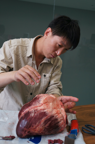 Performance by Wei Chengcheng 魏成成 at YAM Museum