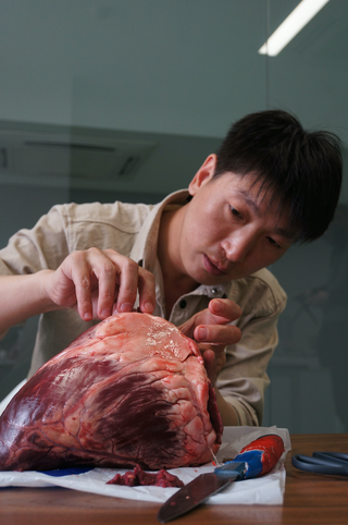 Performance by Wei Chengcheng 魏成成 at YAM Museum