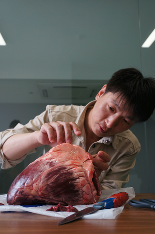 Performance by Wei Chengcheng 魏成成 at YAM Museum