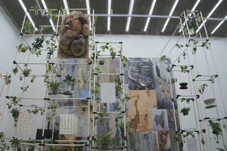 Social Sensibility R&D Department / Taikang Space Beijing / curated by LiJia Zhang & Tang Xin